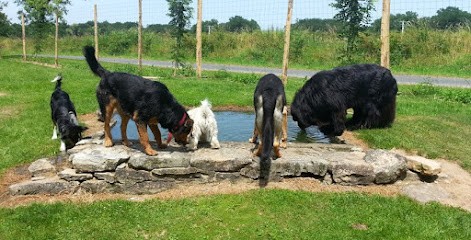 Complicité Canine 87, Pension pour Chiens à Saint-Priest-Ligoure