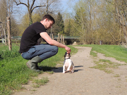 Educ-Emoi, Dresseur De Chiens à Crécy-la-Chapelle