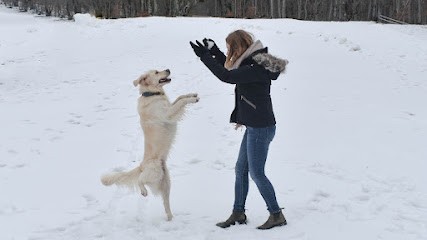 Good in our paws, Dresseur de Chiens au Crès