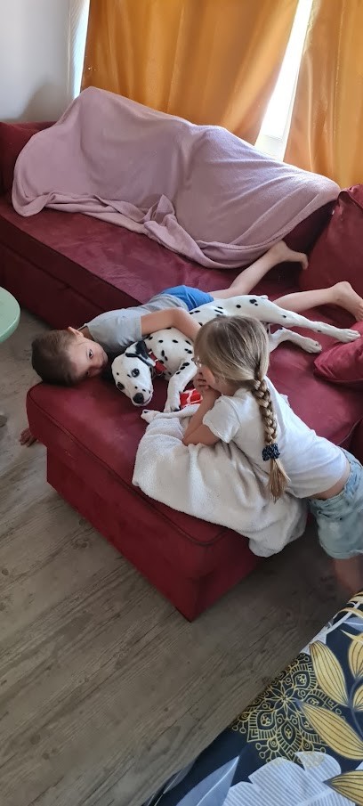 La Petite Vallée des Chiens., Pension pour Chiens à La Chapelle Fleurigne