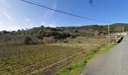 Sharpei Du Royaume Des Peaux De Sables, Eleveur de Chiens à Babeau-Bouldoux