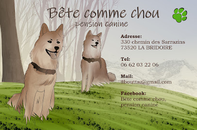 Bête Comme Chou, Pension Canine, Pension Pour Chien à la Bridoire
