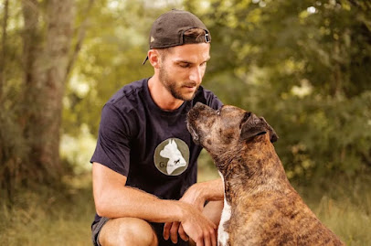 G Educ Mon Chien | Educateur Canin & Pet Sitting Dax Dresseur De Chiens à Saint-Paul-lès-Dax