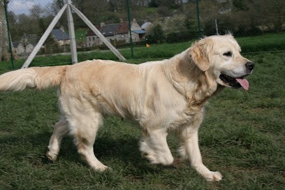Elevage de la Lisardière Ballon Estelle, Eleveur de Chiens à Athis-Val de Rouvre