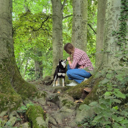 Dog N Progress | Educatrice & Coach En Comportement Canin Dresseur De Chiens à Lille