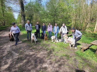 Educ@défi, Dresseur de Chiens à Bosroumois