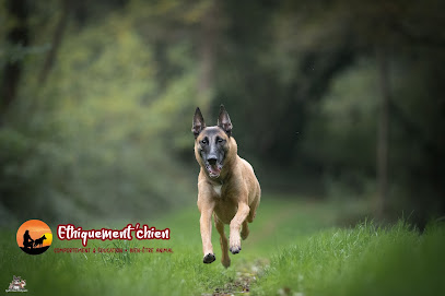 Ethiquement'chien - Éducateur Comportementaliste Canin - Sèvremoine (49) Dresseur De Chiens à Sèvremoine
