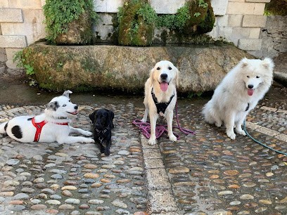 Les P'tites Pattes éducation Canine, Dresseur de Chiens à La Boissière-de-Montaigu