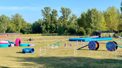 Ludik Dog Park - Centre D'éducation Canine, Dresseur De Chiens à Boé