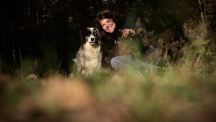 educatrice comportementaliste canin, Dresseur de Chiens à Retiers
