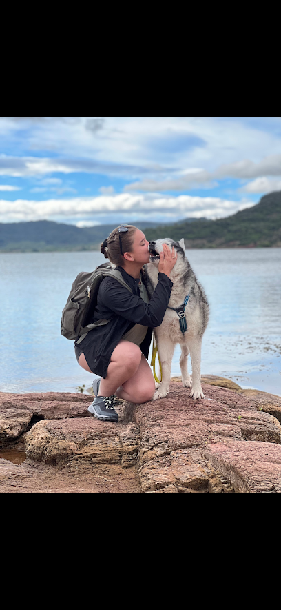 Educ' Ton Loup Dresseur De Chiens à Frontignan