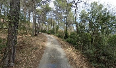 Happy Spitz, Eleveur de Chiens à Draguignan
