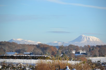 Pension Canine Le Domaine De Myrtille, Pension pour Chiens à Saint-Maurice-près-Pionsat