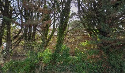 SamSon, Pension pour Chiens à Saulce-sur-Rhône