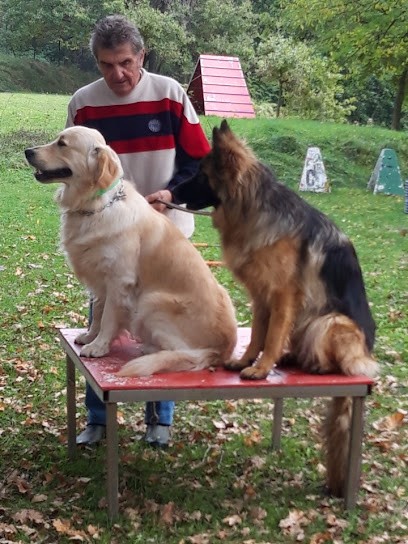 Baudet Rémy - éducateur canin, Dresseur de Chiens à Roche-la-Molière