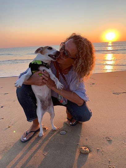 Dog O Dom, Dresseur de Chiens à Villeneuve-lès-Avignon