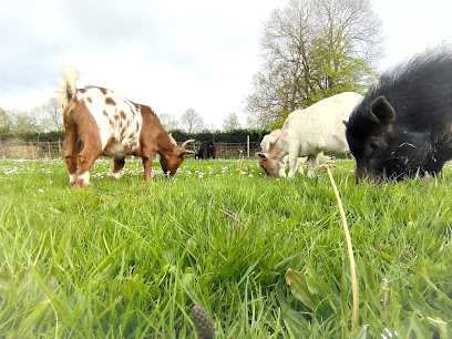 Haras Des Champs, Éleveur De Chiens à Montérolier
