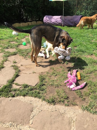 L'Empreinte, Pension pour Chiens à Val de Moder