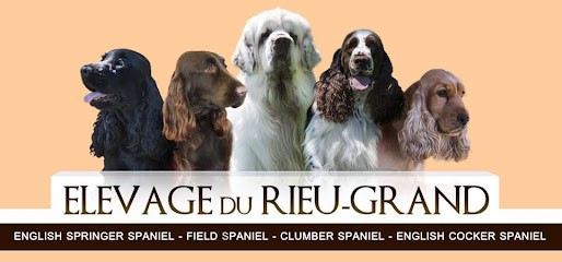 Elevage du Rieu-Grand, Eleveur de Chiens à Lombers