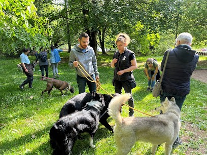 La Meute De Bretagne - Educateur Et Comportementaliste Canin Dans Le Morbihan Et Le Finistère, Dresseur de Chiens à Locmiquélic