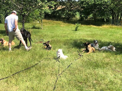 ERUS-éducateur Canin, Dresseur de Chiens à Vienne-en-Val