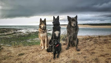 L'empreinte Du Loup, Dresseur de Chiens au Givre
