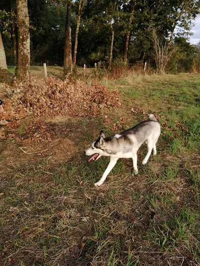 Ehawee’s Dream, Eleveur de Chiens à Moisdon-la-Rivière
