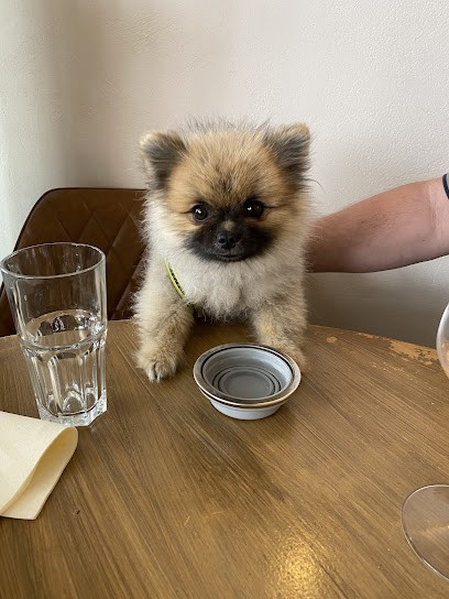 Elevage De Sand-Pam, Eleveur de Chiens à Meys