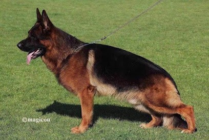 Élevage des Marais d’Elesmes, Eleveur de Chiens à Péronne