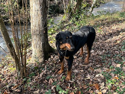 La Grange D'Hollybug, Eleveur de Chiens à Pinay