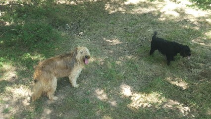 Arche De Dragonnet, Pension pour Chiens à Pailharès