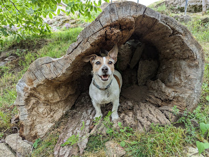 Détente Sur Pattes Pension Pour Chien à Landeleau
