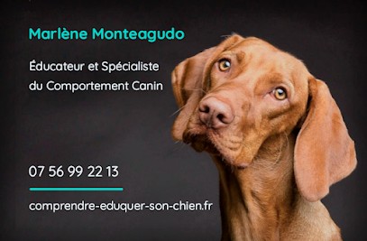 Éducateur Comportementaliste CANIN Marlène Monteagudo, Dresseur de Chiens à Saint-Romain-la-Motte