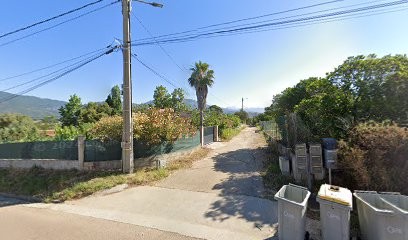 De L'enclos de Fiordalice, Eleveur de Chiens à Cuttoli-Corticchiato