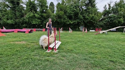 Ecole Canine Du Luberon, Dresseur de Chiens à Robion