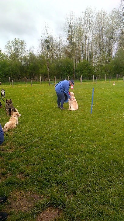 Aux Chiens Heureux, Dresseur de Chiens à Saint-Hilaire-la-Gravelle