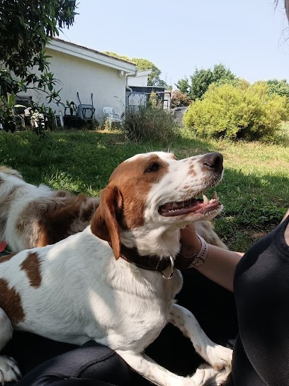 Domaine du fort de pile, Pension pour Chiens à Saint-Denis-de-Pile