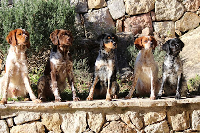 Elevage Du Vallon D'iron Éleveur De Chiens à Tourrettes-sur-Loup
