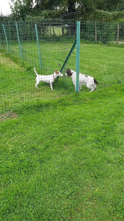 Pension canine, toilettage. Au Charme Canin, Pension pour Chiens à Royon
