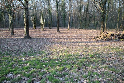Axelle and Co, Pension pour Chiens à Coux