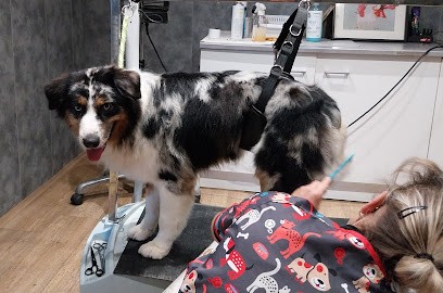 La Pita - Pension Canine - Toiletteur, Pension pour Chiens à Saint-Félix-Lauragais