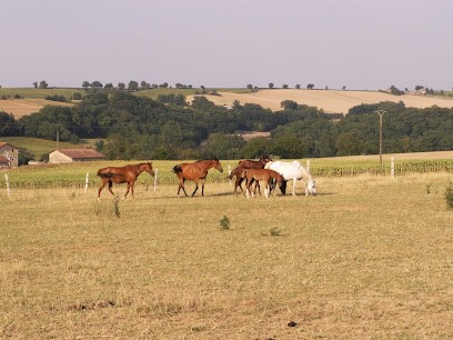 Earl Commère-Pastor, Eleveur de Chiens à Sirac