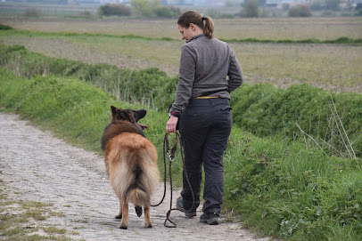 Cynoloisirs De La Bastide, Dresseur De Chiens à Monflanquin