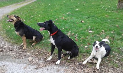 Éduc&Moi, Dresseur de Chiens à Rohan