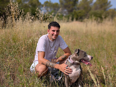 South Dog - Éducateur Comportementaliste Canin Marseille, Dresseur De Chiens à Marseille 03