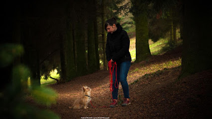 L'émocanin Dresseur De Chiens à Brignais