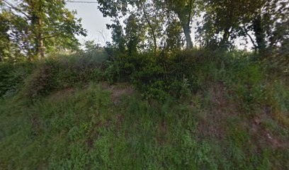 Elevage Berger allemand de travail : Elevage La Forêt aux Elfes, Eleveur de Chiens à Montfa