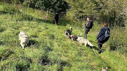Croc Mignon, Dresseur de Chiens à Rozay-en-Brie