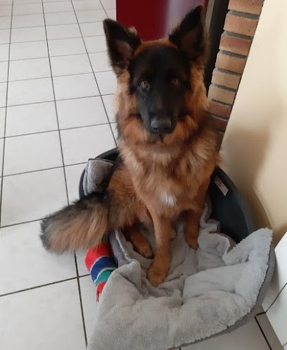 SARL Élevage Familial d'Emilie, Eleveur de Chiens à Concressault