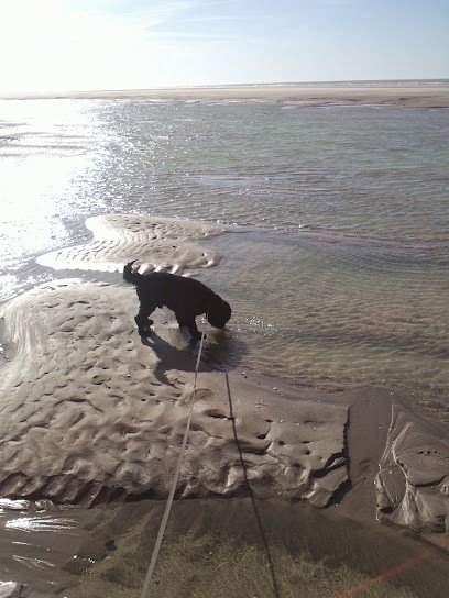 Cat and Dog in the City, Pension pour Chiens à Merlimont